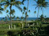 View from Hotel room in Kauai.jpg (129082 bytes)